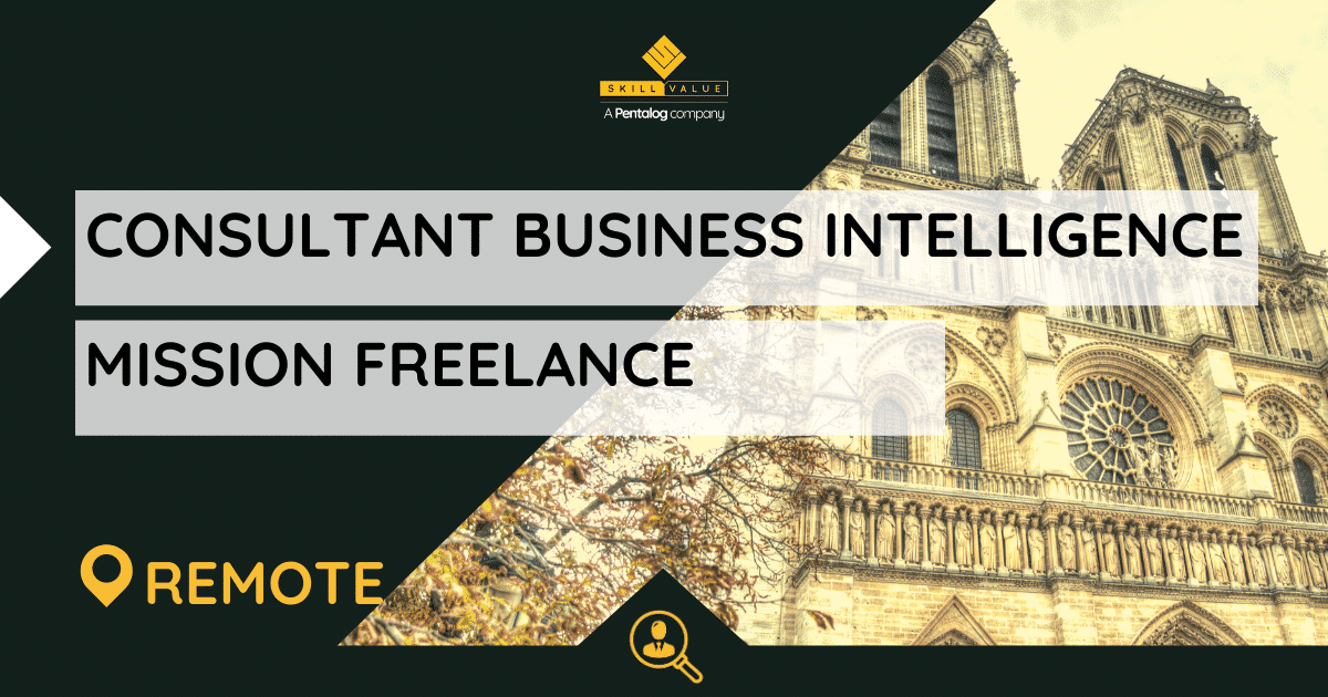 Consultant Business Intelligence – Mission Freelance – Full Remote