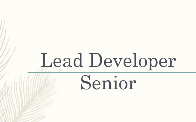 Lead Developper (Senior) – Poste CDI, Paris